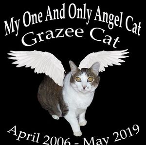 Meet your Posher, Don